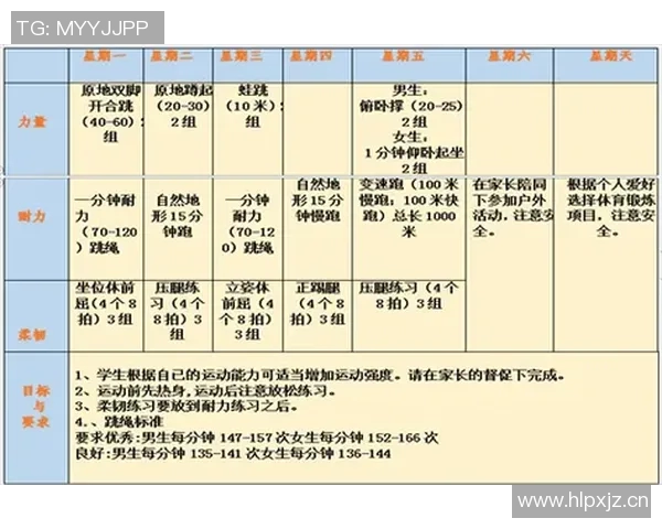 全面解析体能训练流程打造高效训练计划助力健康生活
