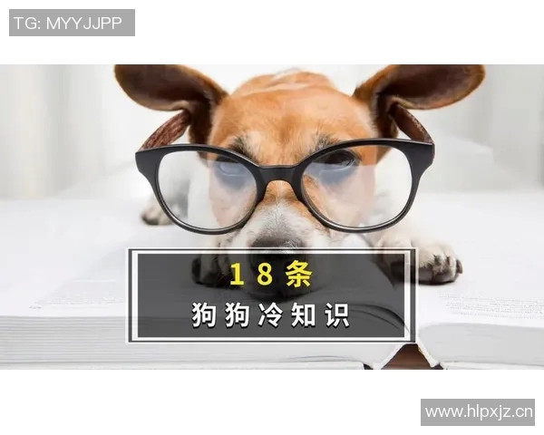 三分王背后的秘密：十大你不知道的冷知识大揭秘